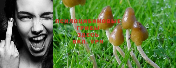 марки lsd Кулебаки