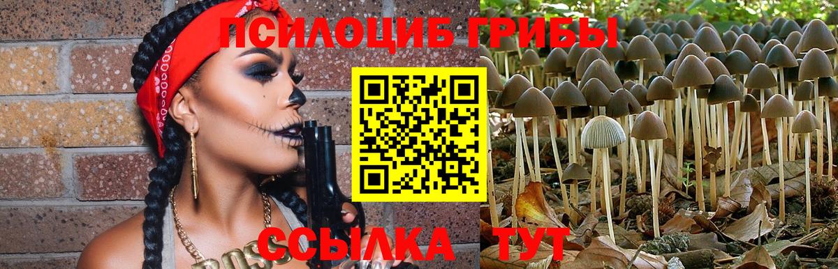 Галлюциногенные грибы Magic Shrooms  Галлюциногенные грибы Psilocybine cubensis  Вход с VPN  Электросталь 